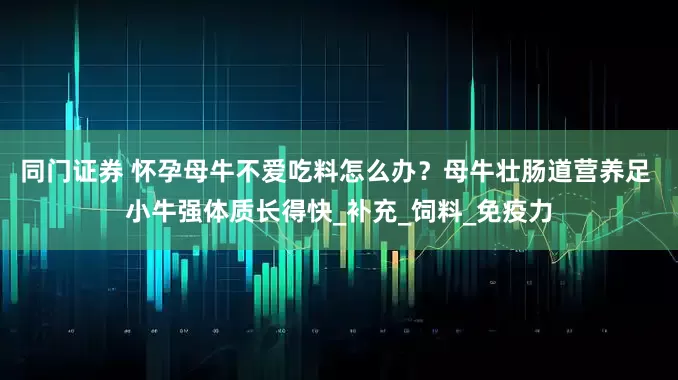 同门证券 怀孕母牛不爱吃料怎么办？母牛壮肠道营养足 小牛强体质长得快_补充_饲料_免疫力